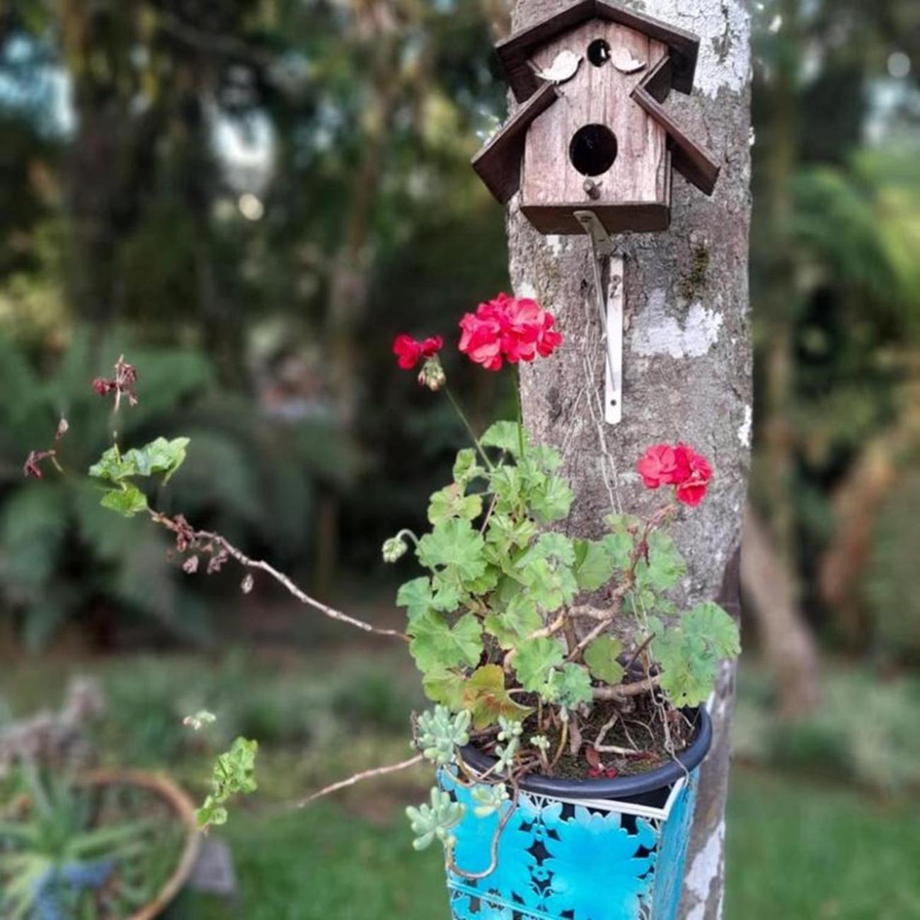 Chale Tematico Em Pipa De Vinho - Parada Da Pipa Chales Canela Dış mekan fotoğraf