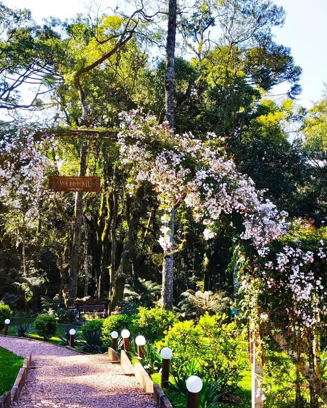 Chale Tematico Em Pipa De Vinho - Parada Da Pipa Chales Canela Dış mekan fotoğraf